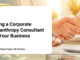 Hiring a Corporate Philanthropy Consultant for Your Business - Featured Expert Aly Sterling